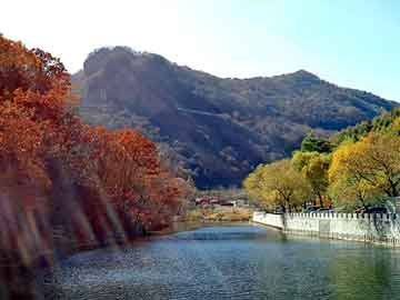 新澳天天开奖资料大全旅游团，正大绿色鸡蛋